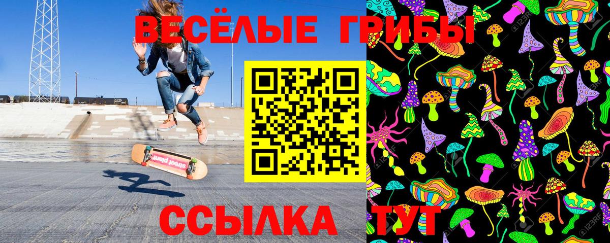 Галлюциногенные грибы GOLDEN TEACHER  Псилоцибиновые грибы ЛСД  Полевской  Вход с VPN 